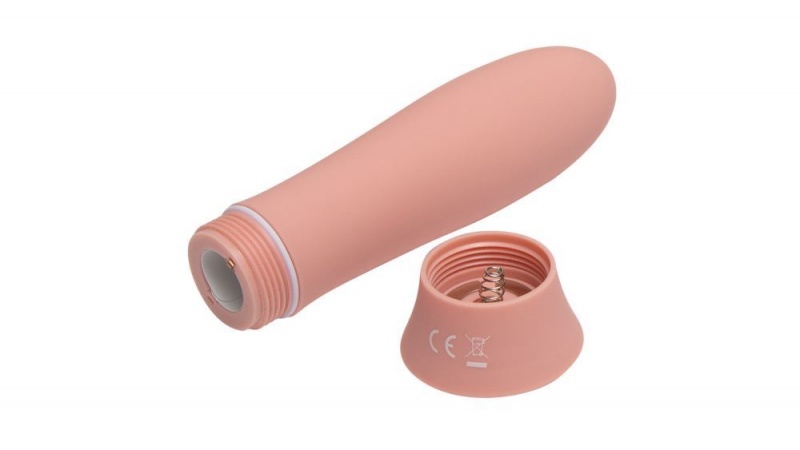 Fleshlight Poppy Bloom Bullet Vibrators | PHILIPPINES 2350EJB